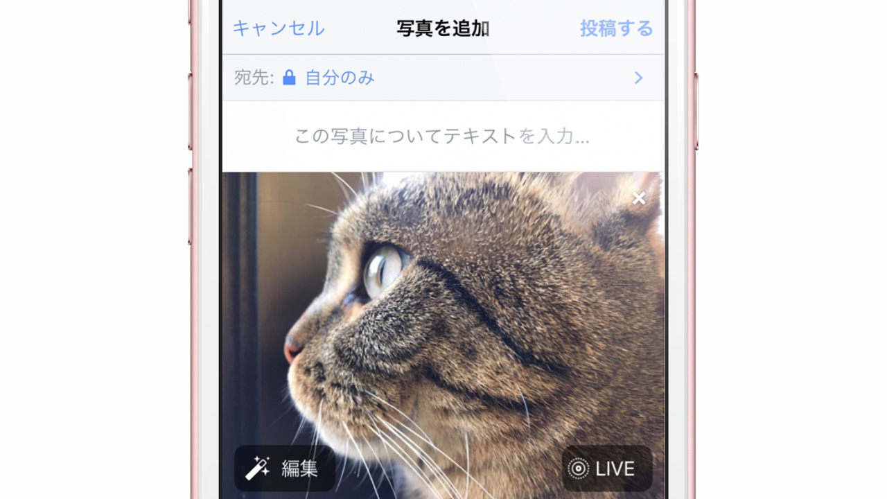 Facebook、iPhoneの新機能「LivePhotos」に対応。投稿できない時の対処方法