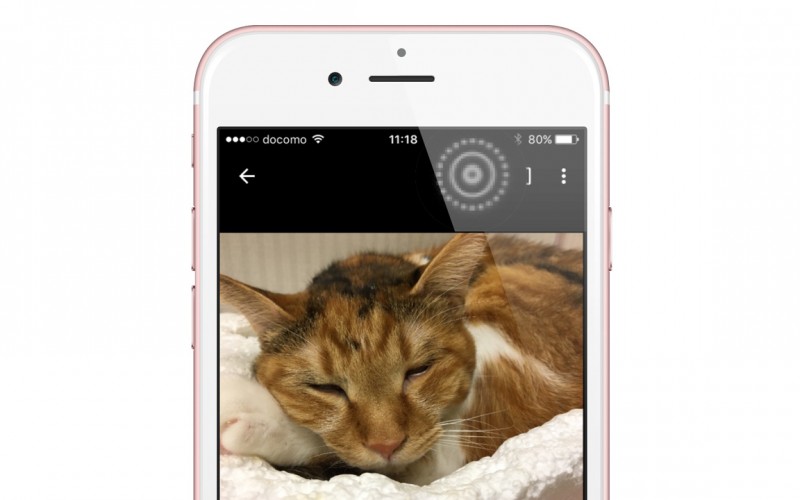 Googleフォト Iphoneの動く写真 Live Photos に対応